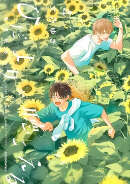 Couverture de Hidamari ga Kikoeru
