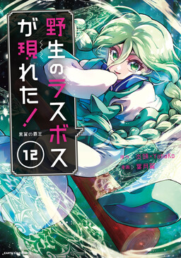Couverture de A Wild Last Boss Appeared!