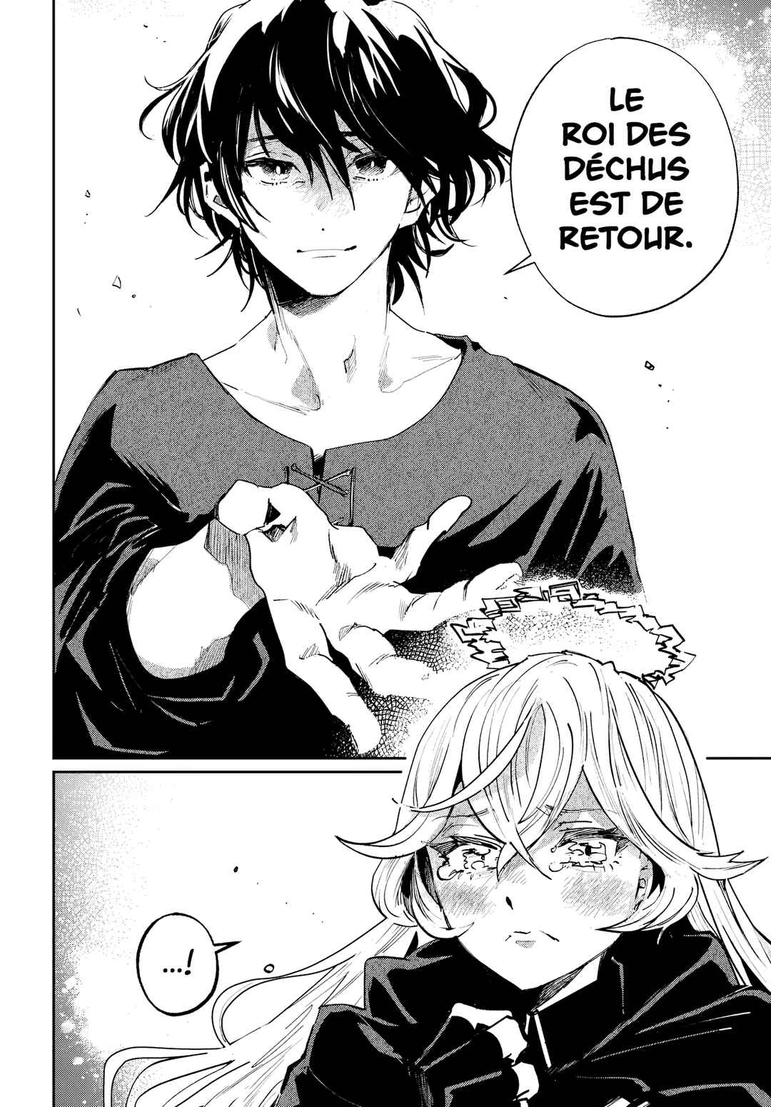 Chapitre 2.2, planche 11