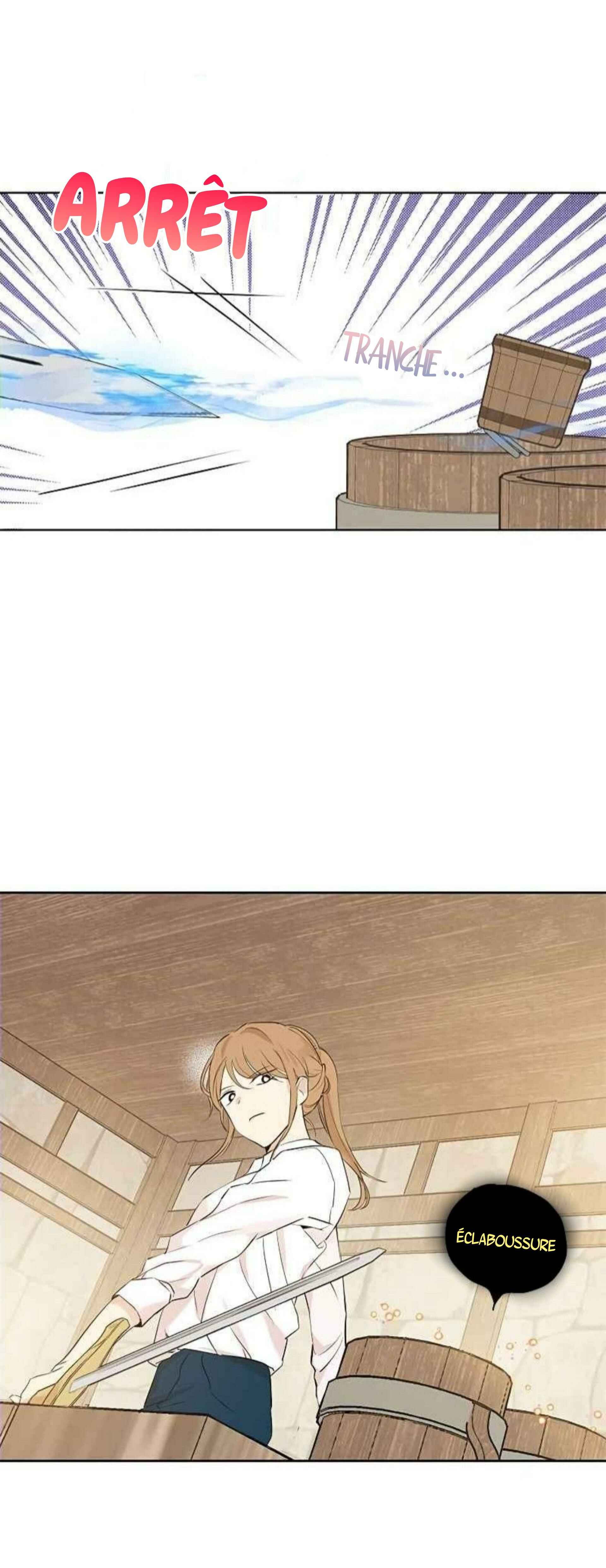 Chapitre 9, planche 46