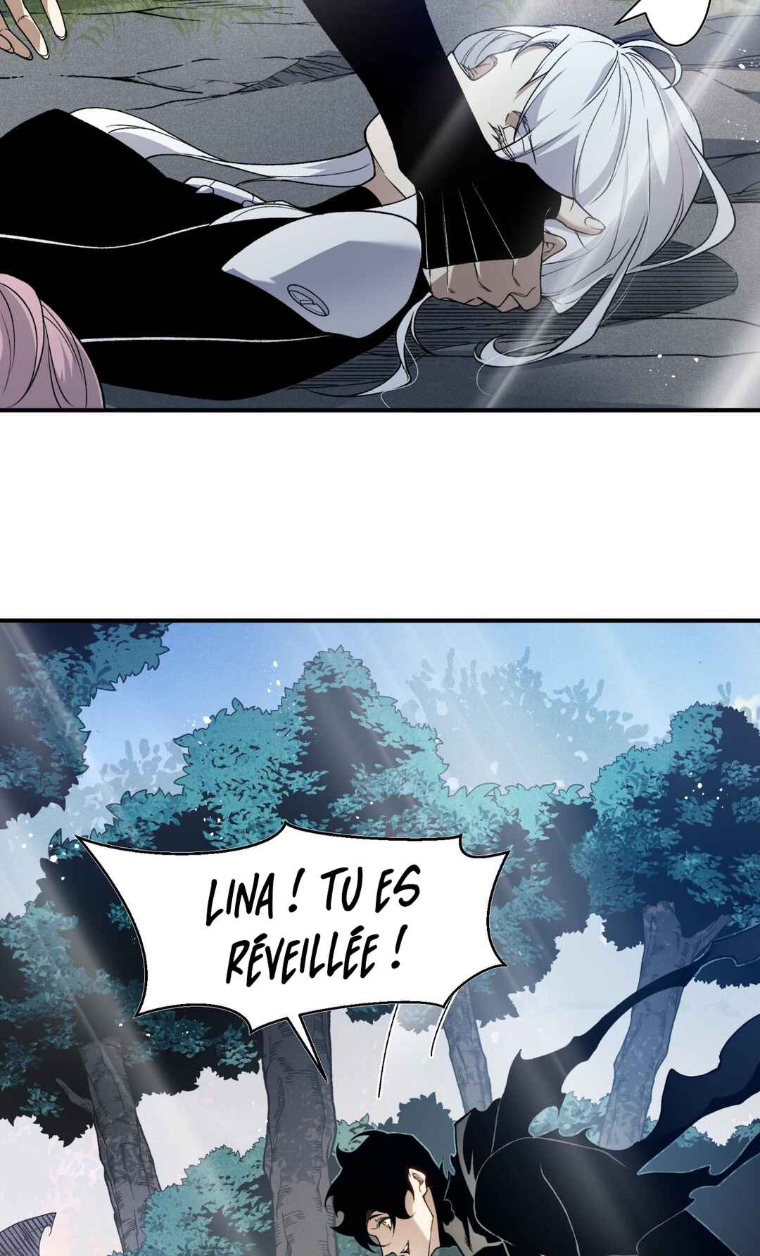 Chapitre 106, planche 47
