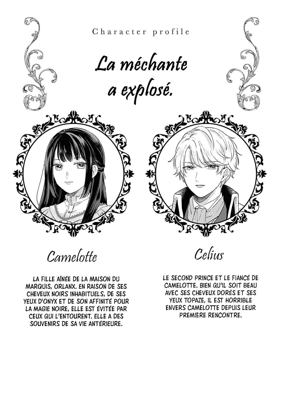 Chapitre 5, planche 2