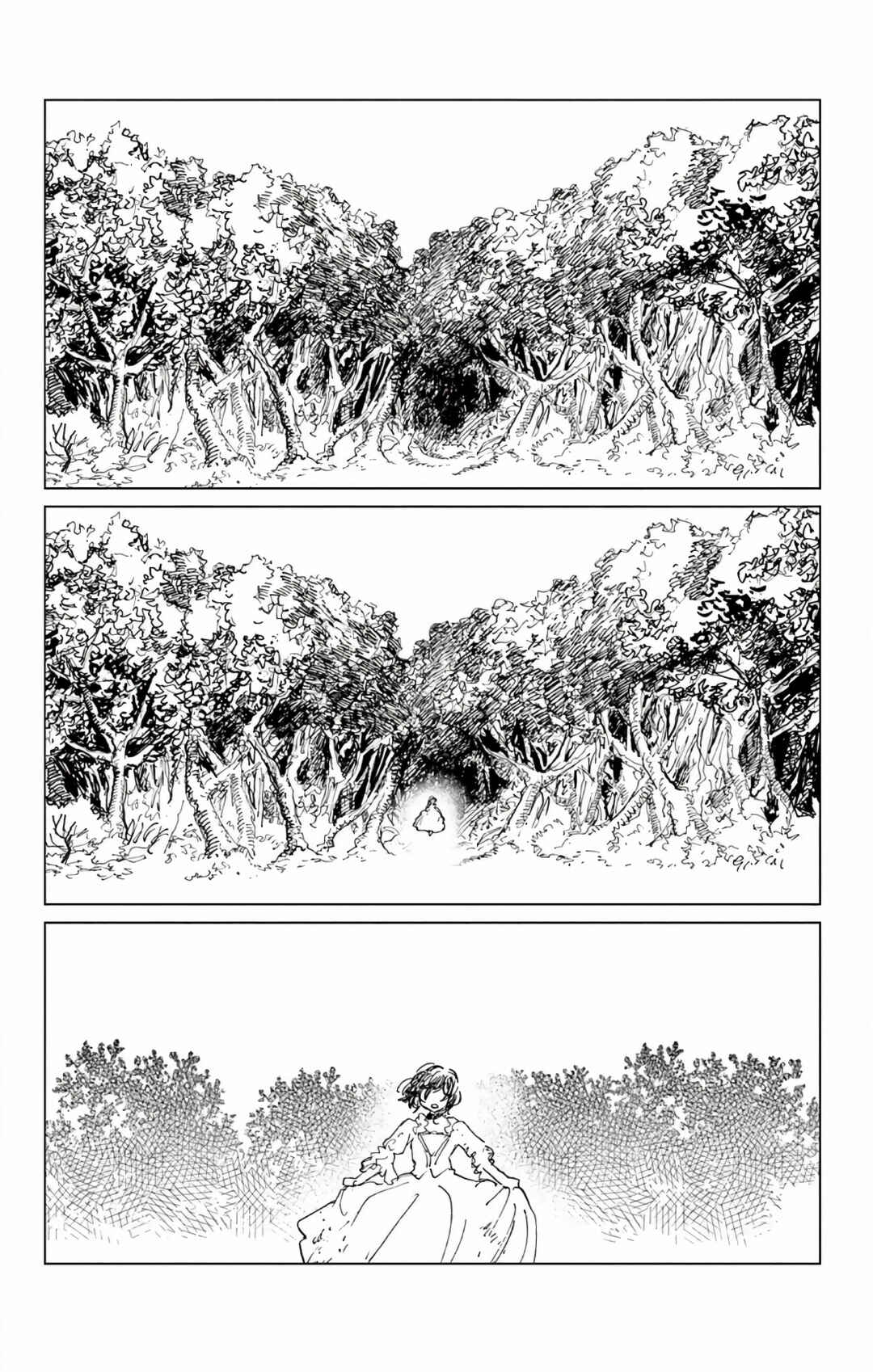 Chapitre spécial, planche 95