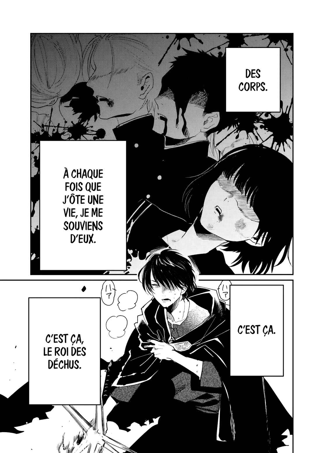 Chapitre 6.2, planche 17