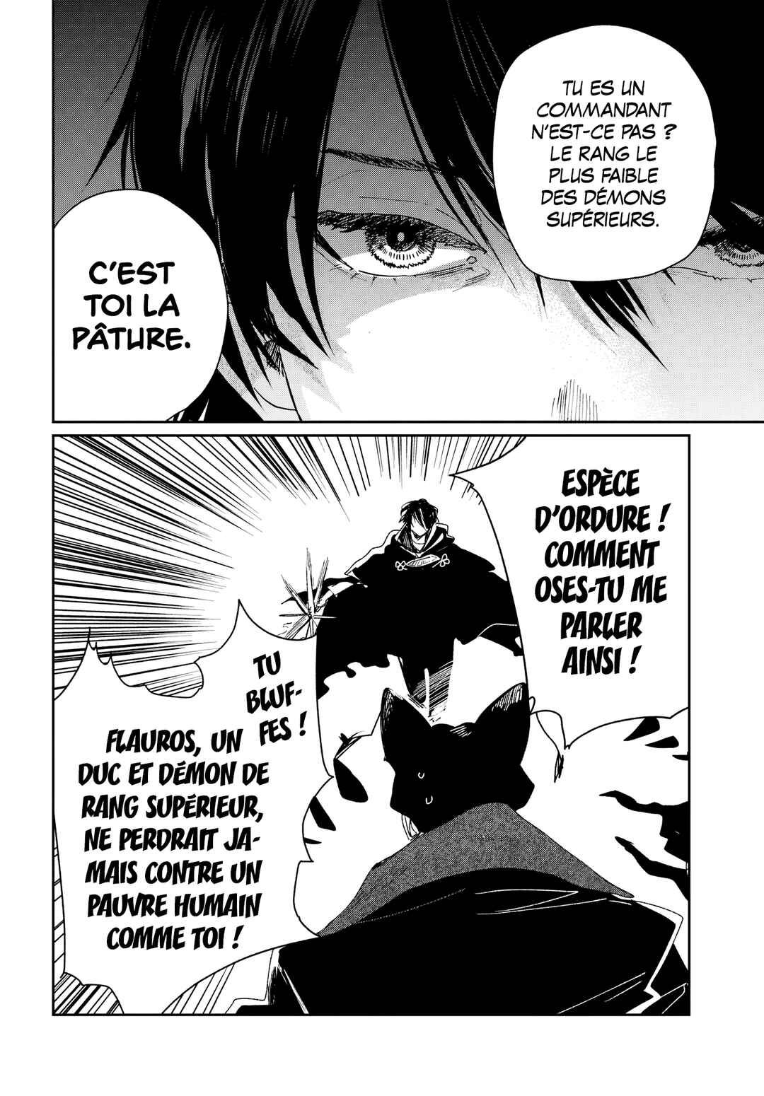 Chapitre 6.2, planche 5