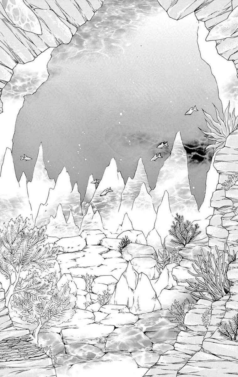 Chapitre 2, planche 15