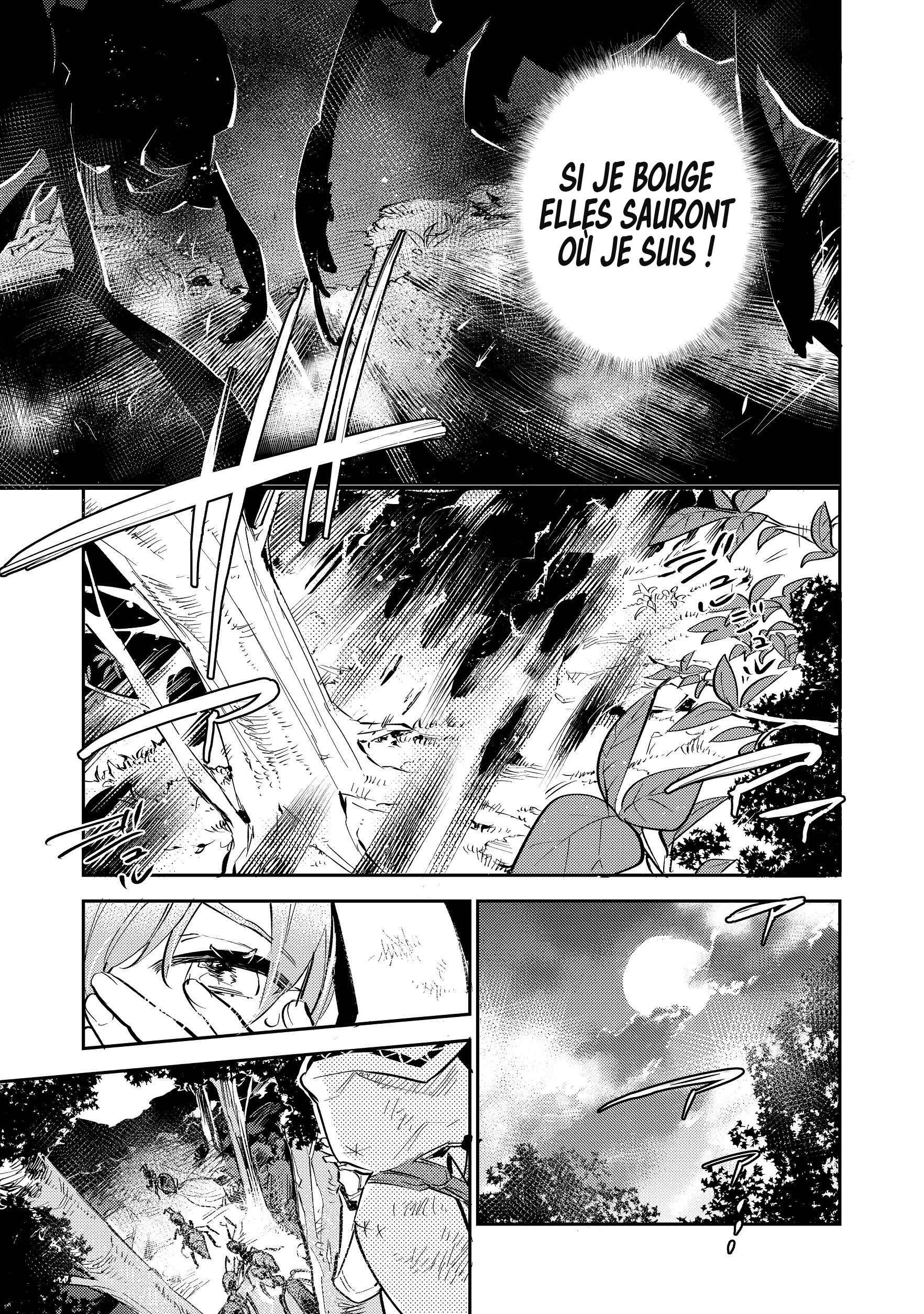 Chapitre 2.1, planche 14