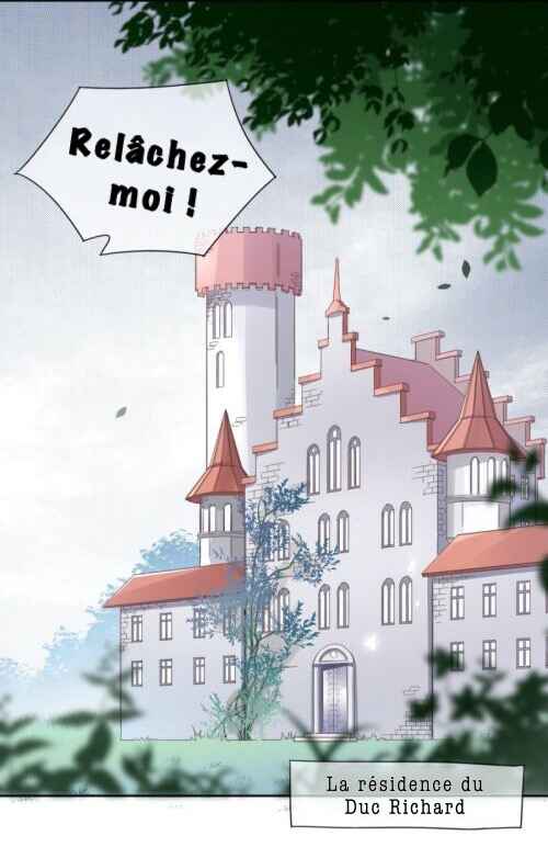 Chapitre 1, planche 3